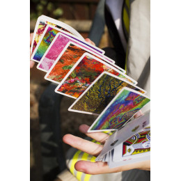 SATELLITE PLAYING CARDS