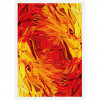 Игральные карты PHOENIX