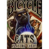 BICYCLE CATS