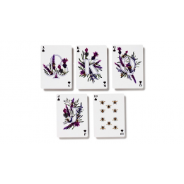 Nectar Meadows Playing Cards под заказ из США