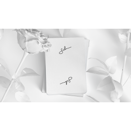 Игральные карты Daniel Schneider White Edition Playing Cards под заказ из США