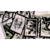 Игральные карты Mirage Grating Collectors Box Set Playing Cards под заказ из США