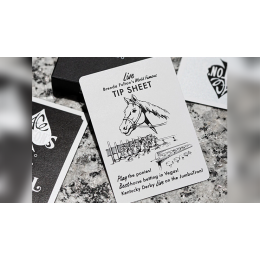Ace Fulton's Casino (Black) Playing Cards под заказ из США