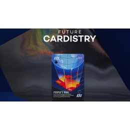 American Future Playing Cards под заказ из США