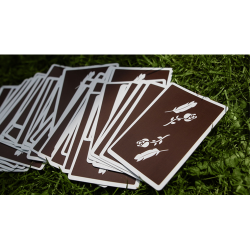 Игральные карты Brown Remedies Playing Cards by Madison x Schneider под заказ из США
