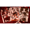 Игральные карты Darkwood Playing Cards by Evolkad под заказ из США