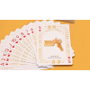 Игральные карты Medical Poker (White) Playing Cards под заказ из США