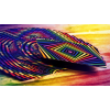 Игральные карты XQ Forty Nine Cards by Magic Encarta под заказ из США