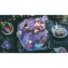 Игральные карты Daydream Collectors Playing Cards Set by King Star под заказ из США