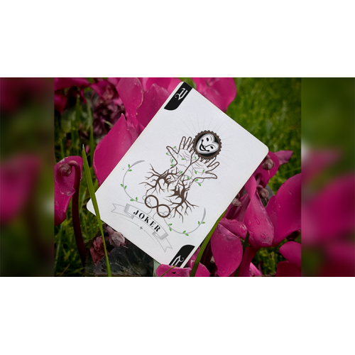 Игральные карты Erinus Eterna Rose Edition Playing cards под заказ из США