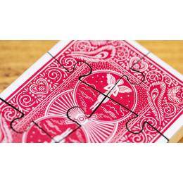 Игральные карты Jigsaw Deck by David Regal под заказ из США