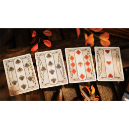 Kite Playing Cards by ARK под заказ из США