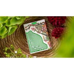Игральные карты Verdana Playing Cards под заказ из США