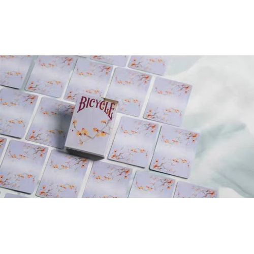 Bicycle Seasons (Winter Edition) Playing Cards под заказ из США