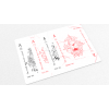 Игральные карты Frankenstein Series Gothic Edition (Gilded) Playing Cards под заказ из США