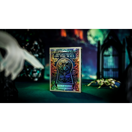 Игральные карты Keyhole Reflections on the Wall Playing Cards by Fashion TCC под заказ из США