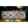 Игральные карты Keyhole Reflections on the Wall Playing Cards by Fashion TCC под заказ из США