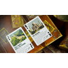 Игральные карты Travel the World Deck Volume 1 by Midnight Cards под заказ из США