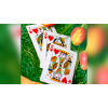 Игральные карты Butterfly Seasons Playing Cards Marked (Spring) by Ondrej Psenicka под заказ из США