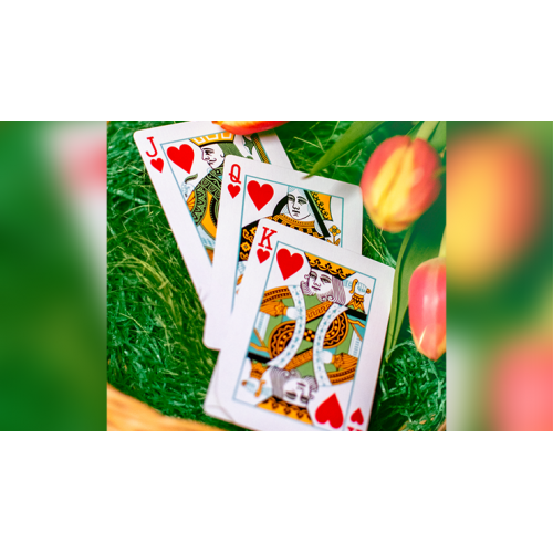 Игральные карты Butterfly Seasons Playing Cards Marked (Spring) by Ondrej Psenicka под заказ из США