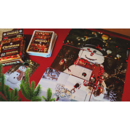Игральные карты FMPX (Fusion Mosaic Phenomenon) Christmas Edition Playing Cards под заказ из США
