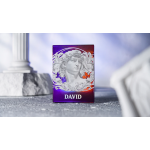 Alabaster David HOLO Playing Cards by TCC Fashion под заказ из США