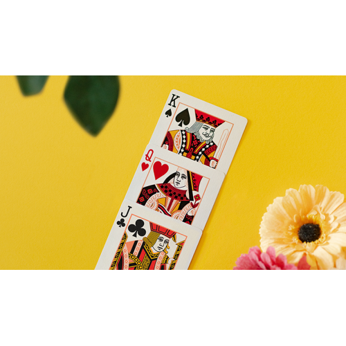 Игральные карты Butterfly Seasons Marked Playing Cards (Summer) by Ondrej Psenicka под заказ из США