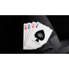DON'T MESS WITH TEXAS™ PLAYING CARDS by Fultons под заказ из США