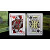 Игральные карты FULTONS Day Of The Dead Green Edition Playing Cards под заказ из США