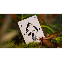 Игральные карты Godzilla x Kong: The New Empire Playing Cards - Kong Special Edition под заказ из США