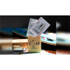 Игральные карты LANCE MOUNTAIN SKATING SKELETONS PLAYING CARDS под заказ из США