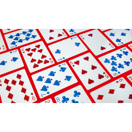 Premium Shark Playing Cards by Riffle Shuffle x Adrian Valenzuela под заказ из США