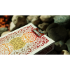 LE Bicycle National Parks (Great Smoky Mountains) Playing Cards by USPCC под заказ из США