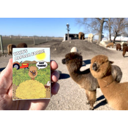 Игральные карты YaYa’s Alpaca Farm Playing Cards by Mike Blandin под заказ из США
