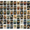 Steampunk Insectarium Butterflies Beetles Dragonflies and Moths Playing Cards под заказ из США