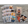 Steampunk Insectarium Butterflies Beetles Dragonflies and Moths Playing Cards под заказ из США