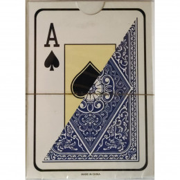 TEXAS HOLD'EM 100% PLASTIC