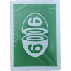 6006 LOGO GREEN от ANYONE