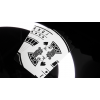ROULETTE FANIMATION DECK