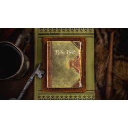 Игральные карты ROBIN HOOD PLAYING CARDS BY KINGS WILD
