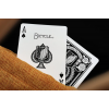 BICYCLE ATTACK ON TITAN