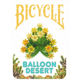 BICYCLE BALLOON DESERT