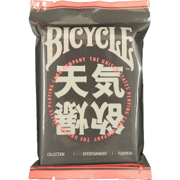 BICYCLE CHILLY WEATHER BLIND PACK