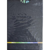 BUTTERFLY SEASONS MARKED PLAYING CARDS (SPRING) (крапленые)