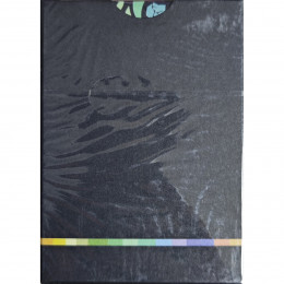 BUTTERFLY SEASONS MARKED PLAYING CARDS (SPRING) (крапленые)