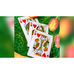 BUTTERFLY SEASONS MARKED PLAYING CARDS (SPRING) (крапленые)