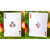 BUTTERFLY SEASONS MARKED PLAYING CARDS (SPRING) (крапленые)