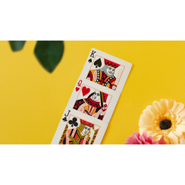 BUTTERFLY SEASONS MARKED PLAYING CARDS (SUMMER) (крапленые)
