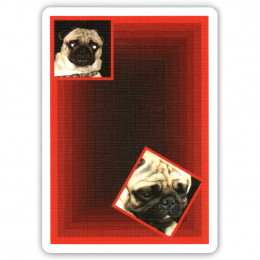 BYTE PLAYING CARDS