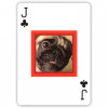 BYTE PLAYING CARDS